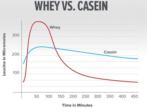diferencias proteina suero leche whey y caseina tiempos absorcion