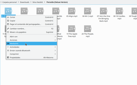 mediainfo ver codec archivo audio