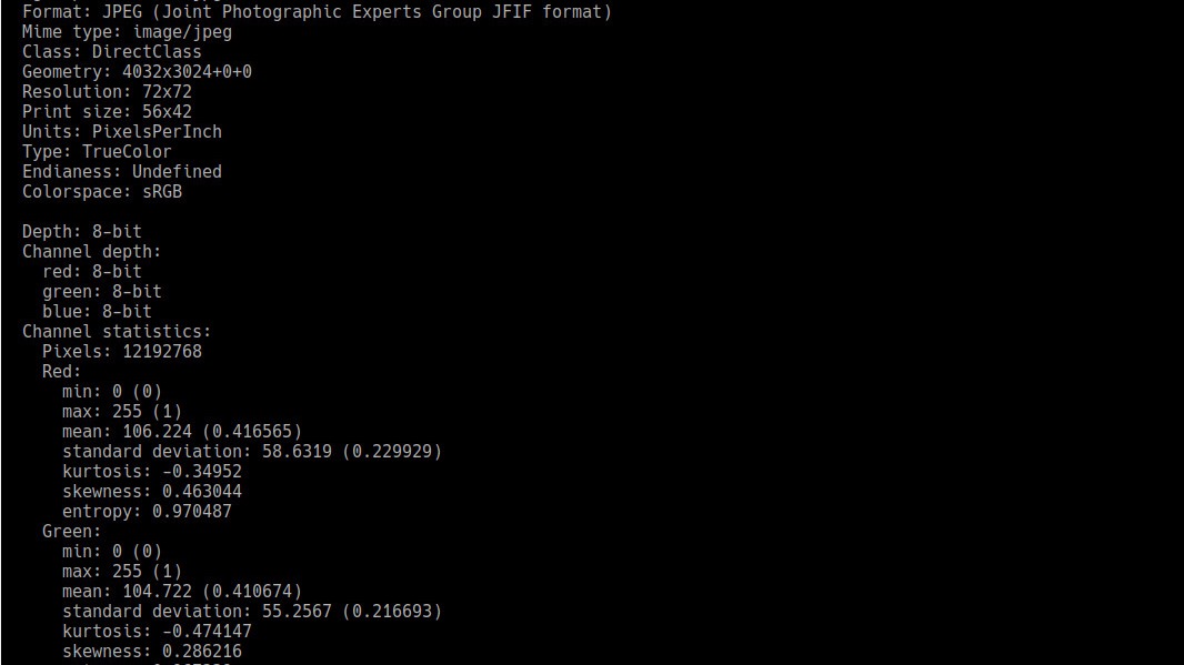 como ver informacion exif linea comandos gnu linux