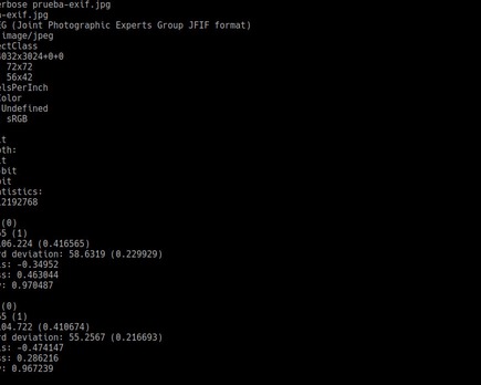 cómo ver la información e x i f de una fotografía desde la línea de comandos de g n u/ linux