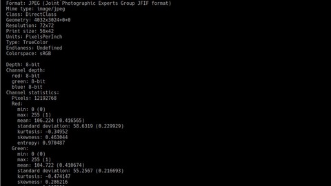 cómo ver la información e x i f de una fotografía desde la línea de comandos de g n u/ linux